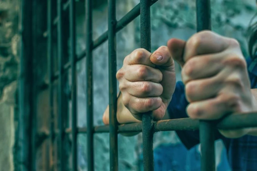 Австриецът, който затвори и насилва дъщеря си в мазе за 24 години, може да бъде освободен от затвора