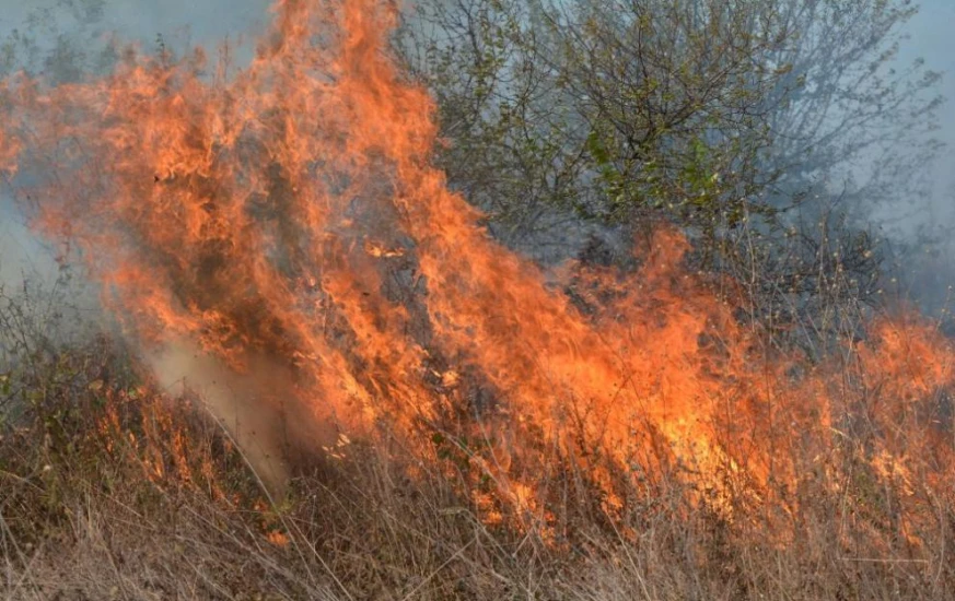 Огнена стихия: Продължава борбата с пожарите в Софийско