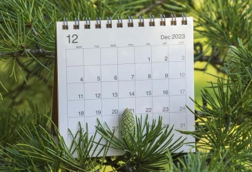 2023/2024 Годишен План: Почивни дни за Коледа и Нова година, предложения за ваканция
